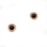 6mm Pheasant Glass Bird Eyes