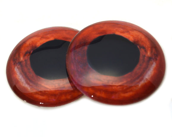 Deep Red Pinecone Soldierfish Glass Eyes