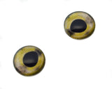16mm Rainbow Trout Fish Glass Eyes