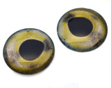 large Rainbow Trout Fish Glass Eyes
