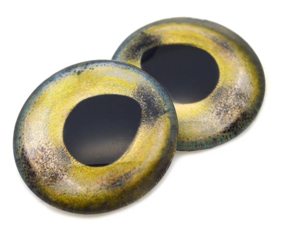 Rainbow Trout Fish Glass Eyes
