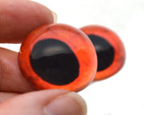 High Domed Red Hogfish Glass Eyes