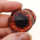 High Domed Rich Deep Brown Human Glass Eyes