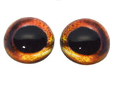 High Domed Roach Glass Fish Eyes