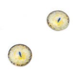 Yellow Sphynx Cat Glass Eyes