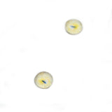 miniature Yellow Sphynx Cat Glass Eyes