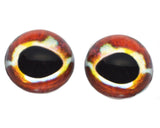 High Domed Striped Triplefin Red Fish Glass Eyes