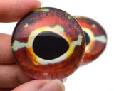 Striped Triplefin Fish Glass Eyes in Bundle