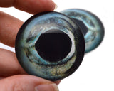 Sturgeon Fish Glass Eyes