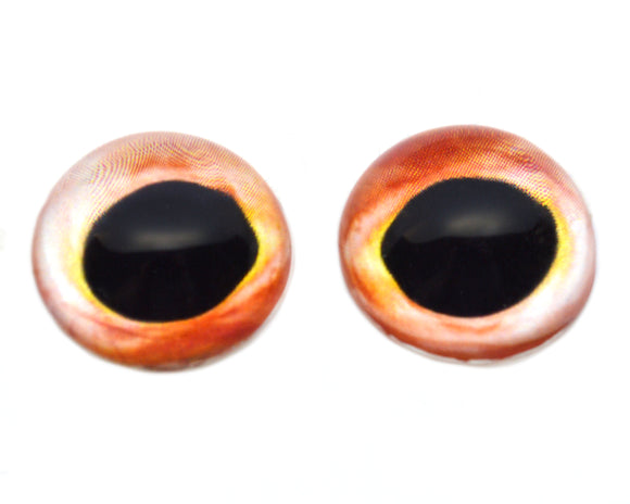 High Domed Veined Peach and Red Fish Fry Glass Eyes