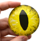 A large yellow cat or dragon glass eye with a black pupil on a white background