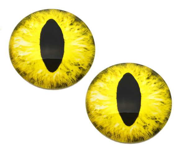 Two yellow cat or dragon glass eyes with a black pupil on a white background