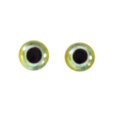 green bird glass eyes