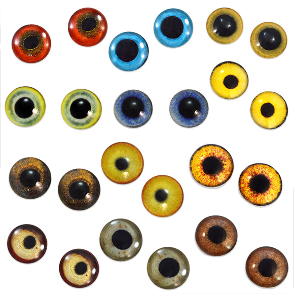 Bulk Lot 12 Pairs of 10mm Bird Glass Eyes