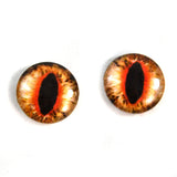 Orange Cat or Dragon Glass Eyes