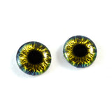 Blue and Yellow Fantasy Glass Eyes