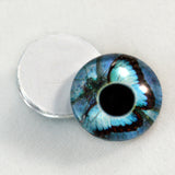 blue butterfly glass eyes