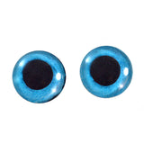 Blue Snow Owl Eyes