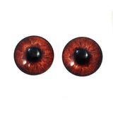 Dark Brown Human Glass Eyes