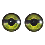 Green Sea Turtle Glass Eyes