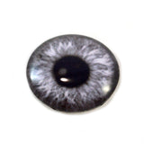 Black and White Gray Steampunk Glass Eye