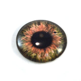 Brown Clockface Steampunk Glass Eye