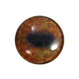 brown moose glass eye