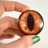 amber cat glass eye