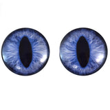 Blue Cat Glass Eyes