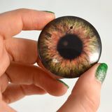 Brown Clockface Steampunk Glass Eye