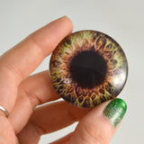 Brown and Cream Human Glass Eye