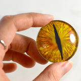 Golden Dragon Glass Eye