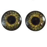 Steampunk Gear Glass Eyes in Olive Green