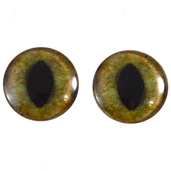 realistic green and brown glass cat eyes