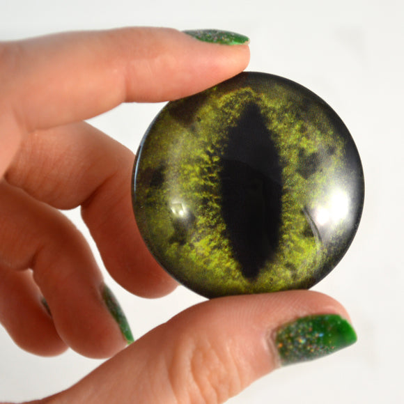 Green Alligator Glass Eye