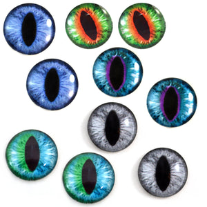 Cat Glass Eyes Bundle