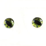 Green Alligator Glass Eyes