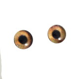 6mm brown dog glass eyes
