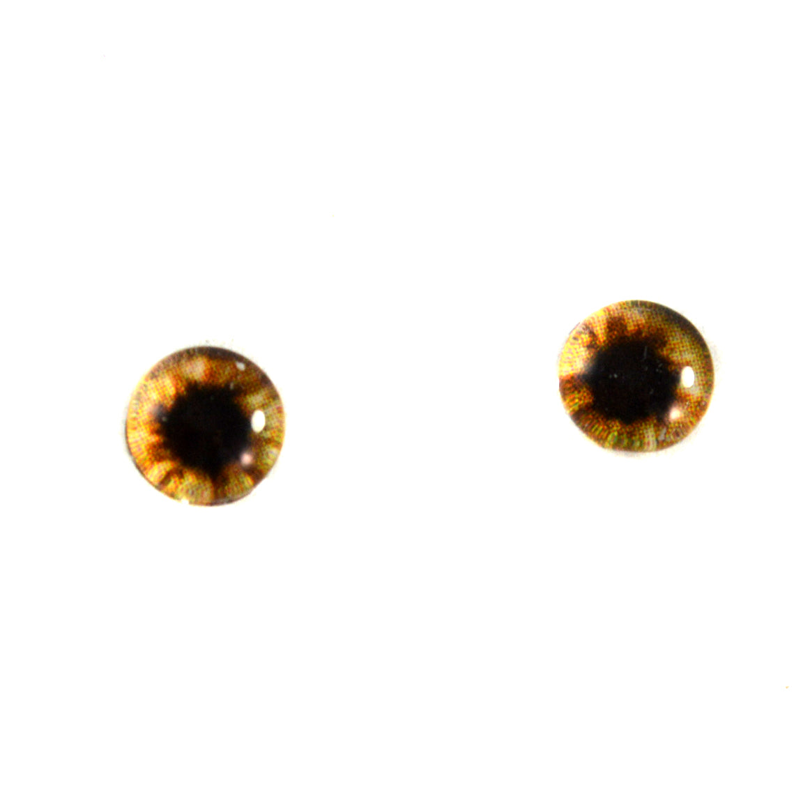Brown Teddy Bear Handmade Glass Eyes 6mm to 40mm Jewelry Cabochon