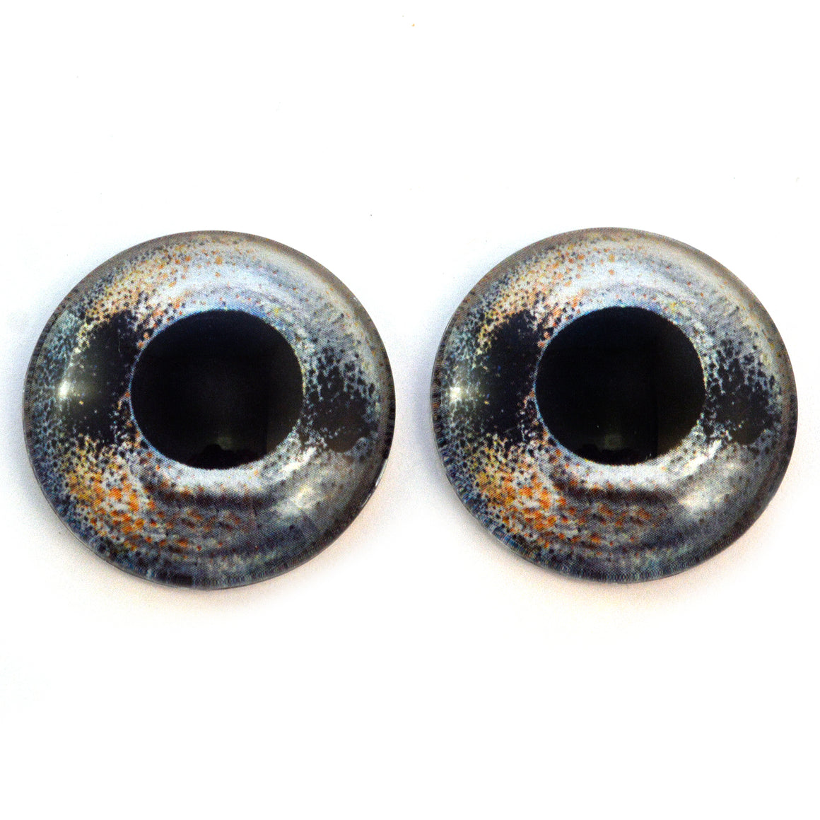 Glass Fish Eyes Handmade Glass Eyes