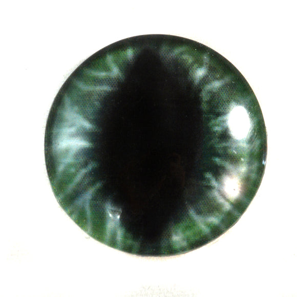 Wide Green Dragon Glass Eye