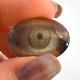 18mm x 25mm Animated Blinking Oval Glass Eye Cabochon