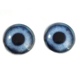 Blue Dog Glass Eyes