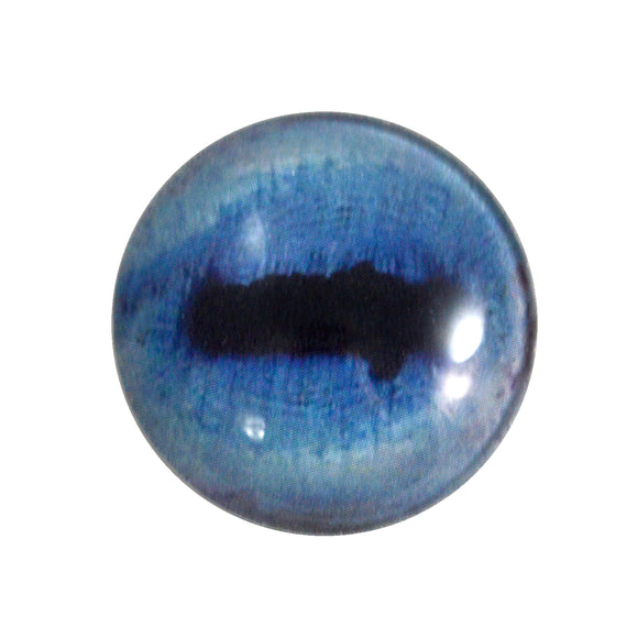 blue goat glass eye