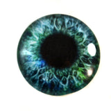 Green and Blue Human Glass Eye