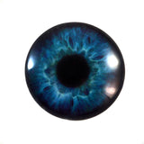 Deep Blue Human Glass Eyes