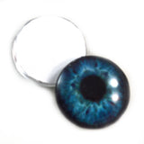 Deep Blue Human Glass Eyes