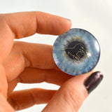 blue unicorn glass eye
