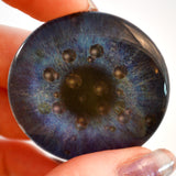 Blue and Gunmetal Burst Animated Glass Eyes