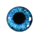 Bright Blue Human Glass Eye